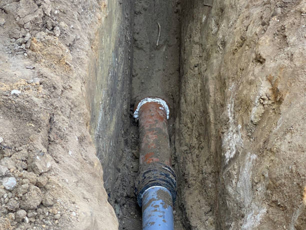 Best 24/7 water damage repair  in Myrtle Point, OR