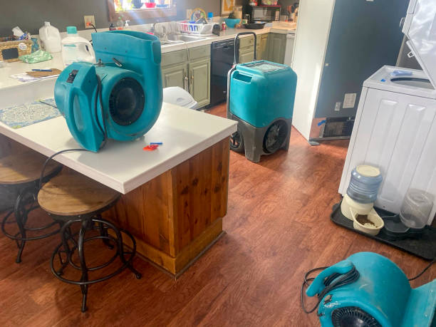 Best Water damage cleanup near me  in Myrtle Point, OR