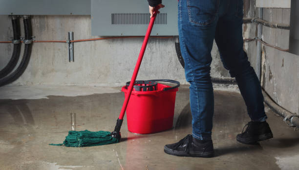 Trusted Myrtle Point, OR Water damage restoration Experts