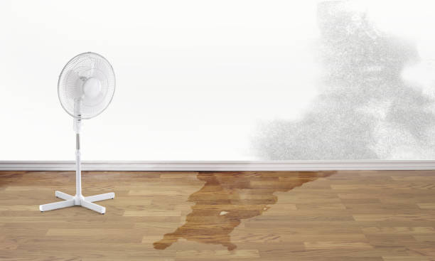  Myrtle Point, OR Water damage restoration Pros