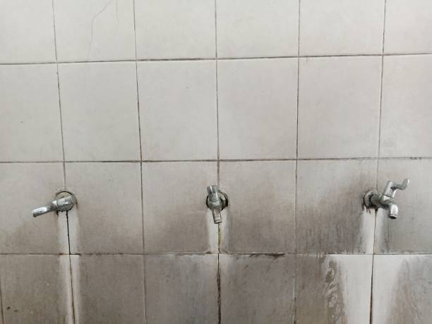 Best Flood restoration services  in Myrtle Point, OR