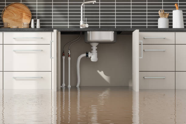 Best Commercial water damage restoration  in Myrtle Point, OR