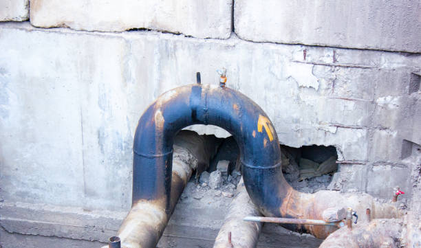Best Water damage cleanup near me  in Myrtle Point, OR