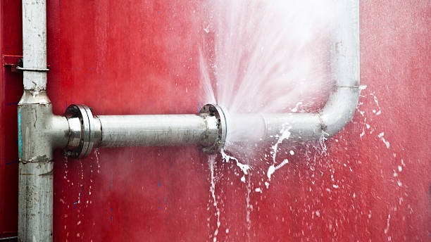 Best Carpet water damage restoration  in Myrtle Point, OR